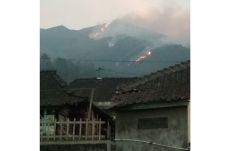 Kebakaran Hutan di Gunung...