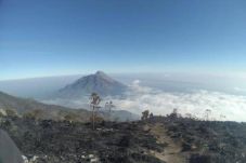 Pipa Terbakar, Ribuan...