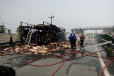 Truk Pembawa Kardus...