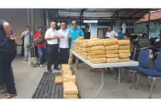 BNN Sita 250 Kg Ganja...