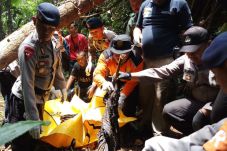 Setahun Hilang di Hutan...