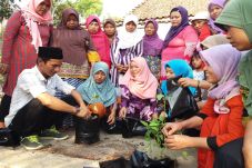Ibu Rumah Tangga Diajak...
