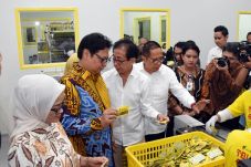 Industri Obat Tradisional...