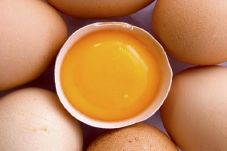 Yuk, Buat Minyak Telur...