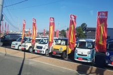 Memiliki Mobil di Jepang...
