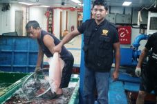 Bea Cukai Bitung Inisiasi...