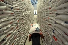 Bulog: Beras Surplus,...
