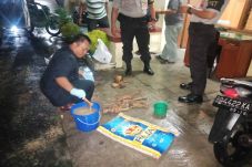 Tengkorak dan Tulang...