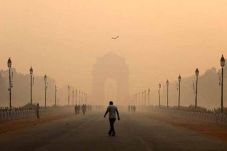 New Delhi Larang Penggunaan...