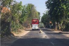 Tak Kunjung Diperbaiki,...