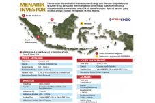 Pemerintah Lelang Empat...