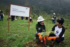 Innisfree dan WWF Kampanye...