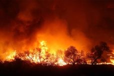 Kebakaran Hutan di California...