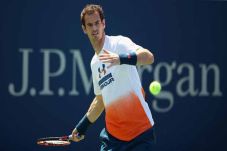 Pulih Cedera, Andy Murray...