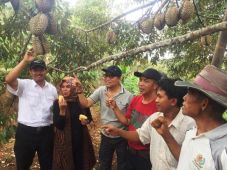 Kementan Pacu Daya Saing...