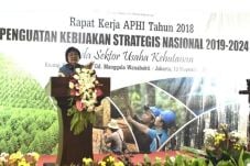 Menteri LHK Akui Sempat...