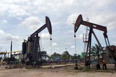 Dalam Sepekan, Harga...