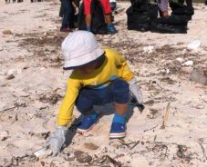 Amman Mineral Gelar...