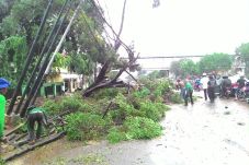 Pohon Tumbang Saat Melintas,...