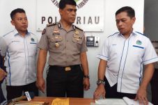 29 Jalur Tikus di Riau...
