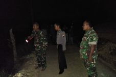 Macan Pemangsa Ternak...