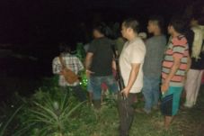 Ibu 45 Tahun Tewas Dimangsa...