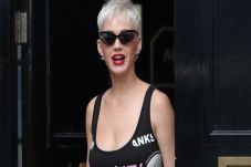 Katy Perry Diinginkan...