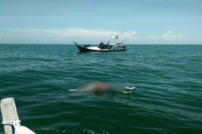 3 Mayat Ditemukan Mengambang...