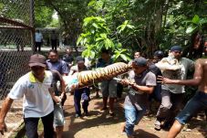 Detik-Detik Menegangkan...