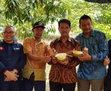 Pacu Daya Saing, Kementan-Pemprov...