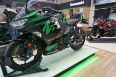 Kawasaki Beri Corak...