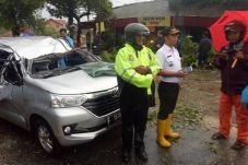 Meninggal Tertimpa Pohon...