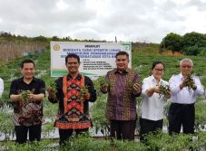 Natal dan Tahun Baru,...