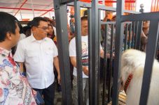 Kambing Seharga Setengah...