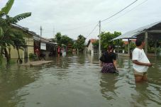 Diguyur Hujan Deras,...
