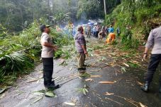 Hujan Deras, Rumpun...
