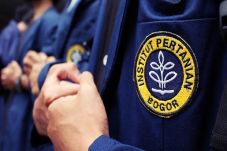 IPB: Agriculture Reform...