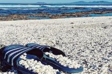 Pantai di Spanyol Ini...