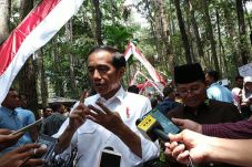 Harga Sawit Turun, Jokowi...