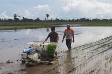Program Alat Mesin Pertanian,...