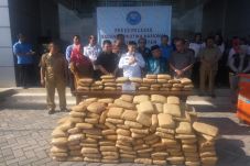 BNN Ungkap Ganja 335...