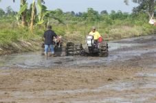 Garap Lahan Rawa, Kementan...