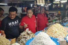PDIP Akan Genjot Kader...