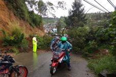 Tebing Longsor Tutup...