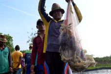 Muara Angke dan Cilincing...