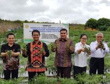 Kementan: Pasokan dan...