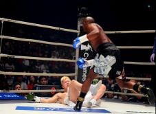 Tenshin Nasukawa Kapok...