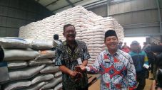Panen Raya Bakal Telat,...