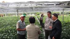 Kementan Dorong Balittri...