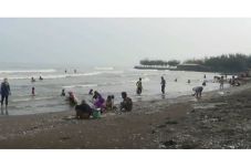 Unik, Puluhan Ribu Kerang...